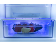 Beko LODÓWKA BEKO RCNA366E30ZXB [###] - 1389178 - zdjęcie 10